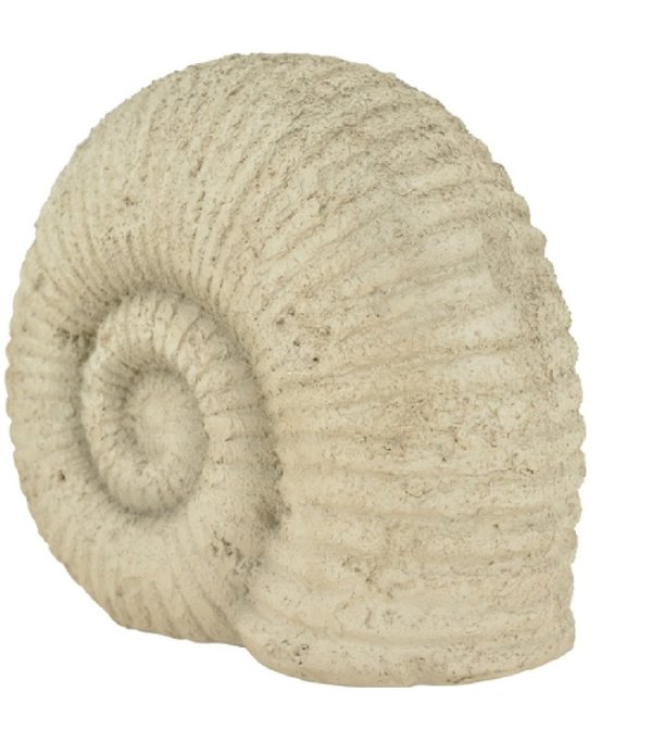 Ammonit Valo Schnecke creme 32,5x16x27cm 55344